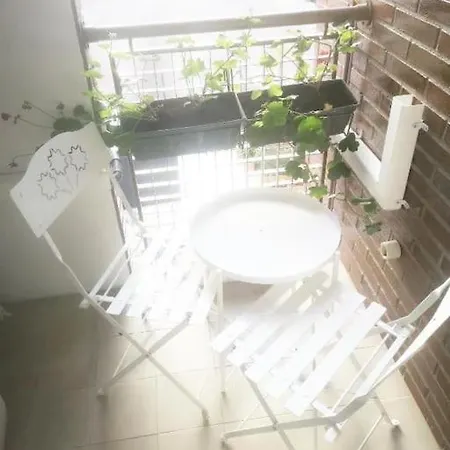 Colours Daire Oviedo